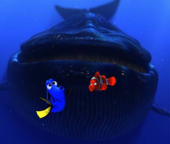 Marlin and Dory get lost, and get inhaled by the whale.