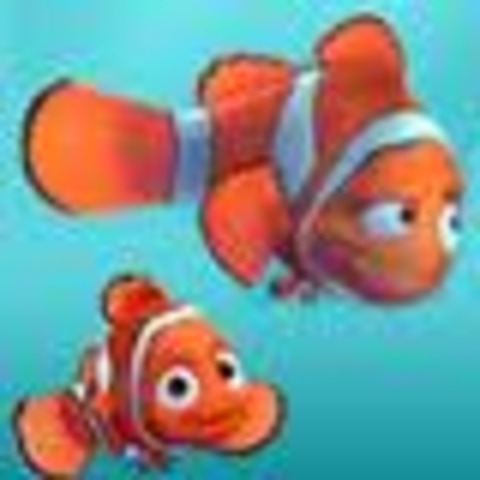 Nemo and Marlin see each other for the first time since they were separated.