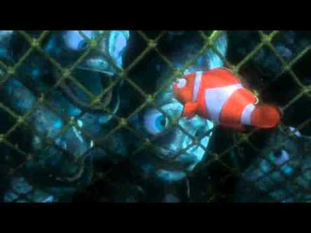 Nemo and Dory are caught in fishing net.