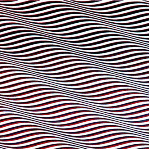 "Cataract- Bridget Riley