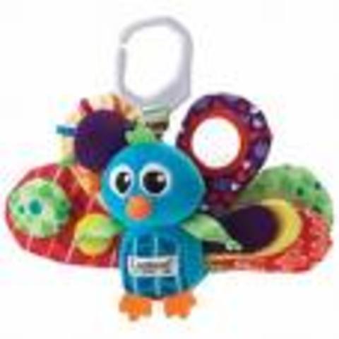 perceptual development