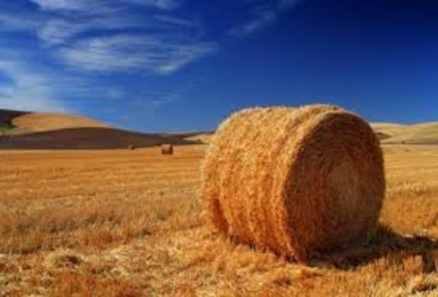 Hay cultivation changes