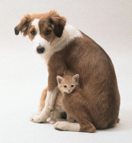 Point 1: Identify and Then Address the Problem