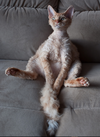 Point 3: Let some things go.