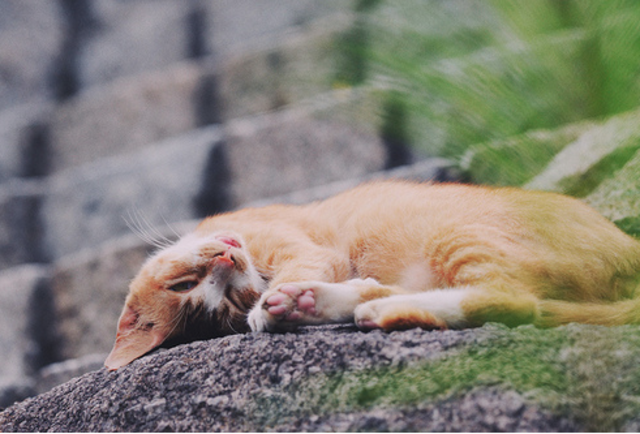 Point 7: Sleep well.