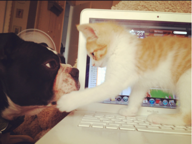 Point 2: Avoid stress when possible.