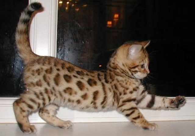 Point 4: The Power of Exercise.