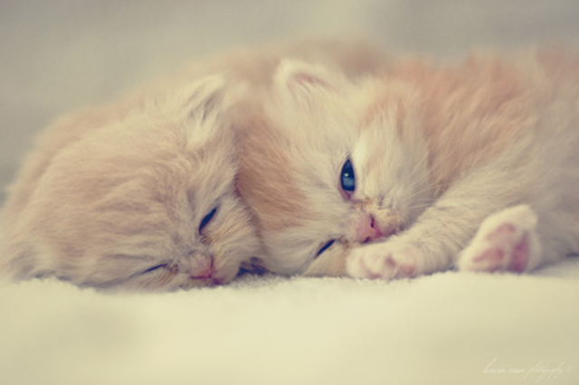 Point 5: Active Relaxation.