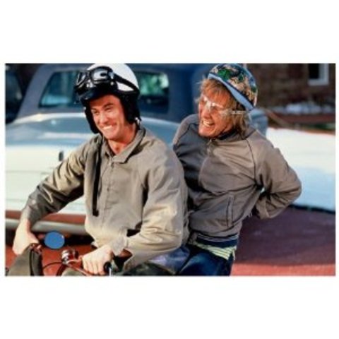 They find their way to aspen.