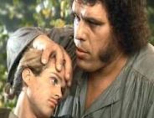 -Fezzik, Inigo, and Wesley make a plan to invade the castle and find Buttercup. Inigo also wants to find the six fingered man. Wesley starts moving a little more.