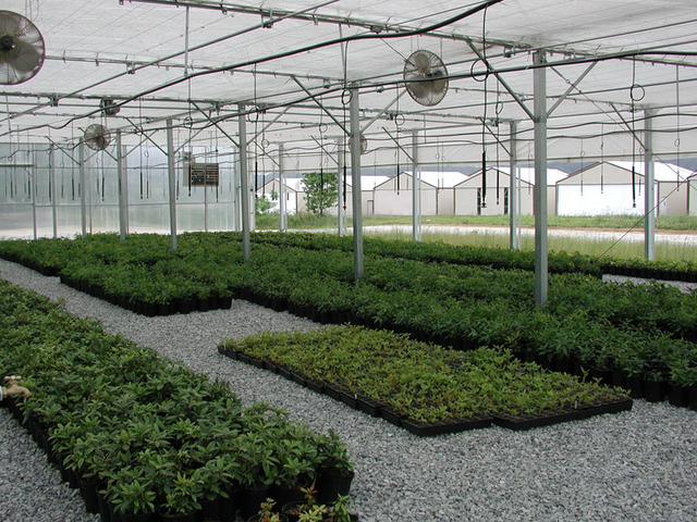 Revised Safety Guidelines