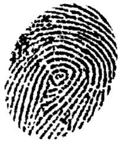 Discovery of personal identification known as DNA fingerprint.