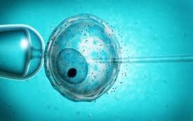 First human baby from vitro infertalization was born.
