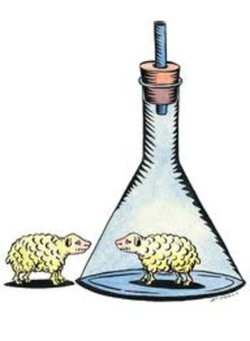 Dolly the sheep was cloned.