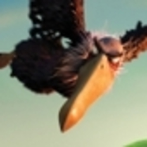 The kangaroo gets vlaid to find and destroy the clover