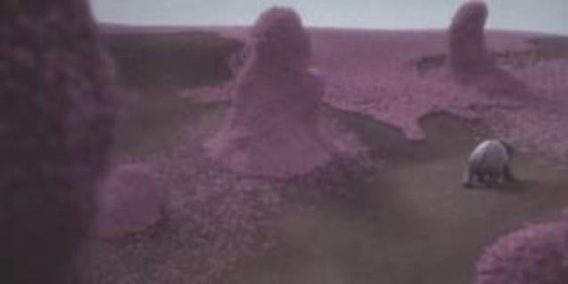 After 3 million clovers Horton finally finds the one he is looking for