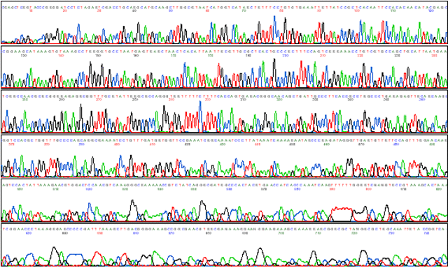 Automated Fluorescence Sequencer