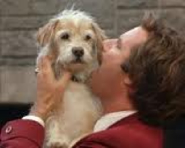 Bater is kicked off a bridge