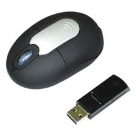 The wireless mouse