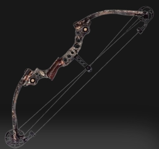 The Compound Bow