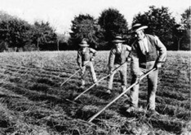 German Farmers in the U.S.