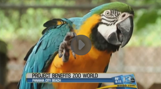 STEM Project Looks to Help Zoo World