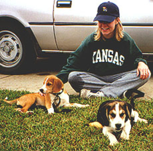 We adopt Steeler & Celtic