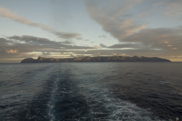 JAMA - Morton Levin study