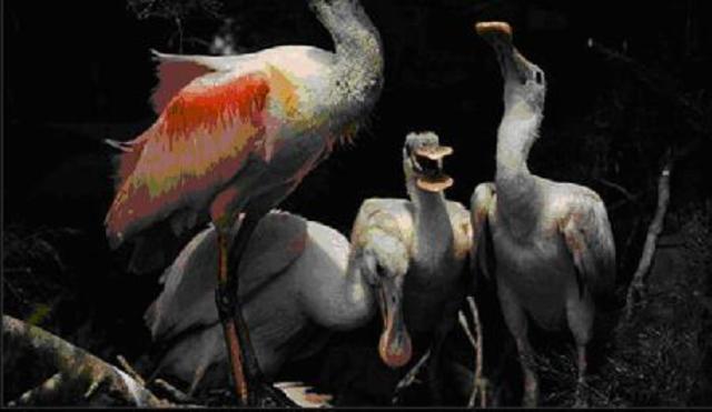 The First Magazine To Publish Everything In Colour