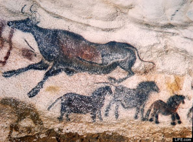 Lascaux cave paintings discorvered