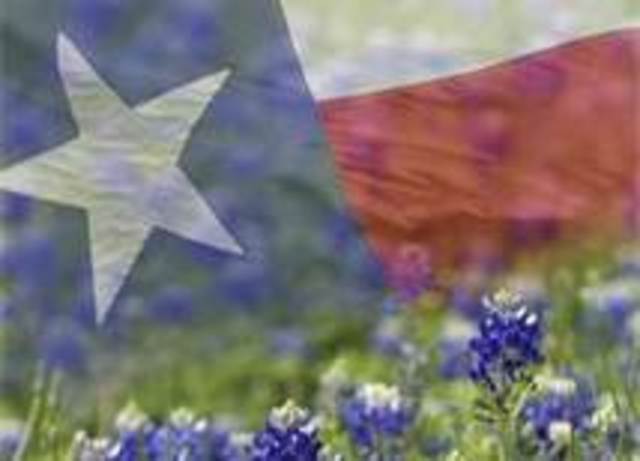 Texas joins the united states