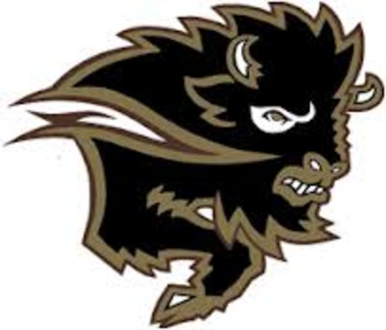 J'ai devuneu un partie d'équipe natation.