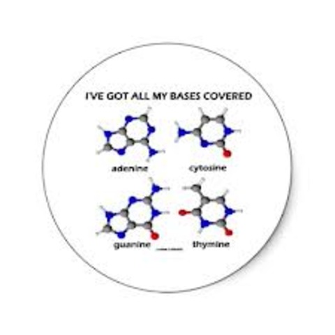 Khorana and Nirenberg