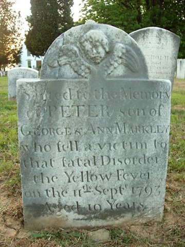 Yellow Fever Outbreak