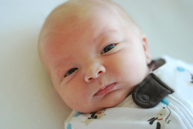 Was born in Oak Park (Illinois)