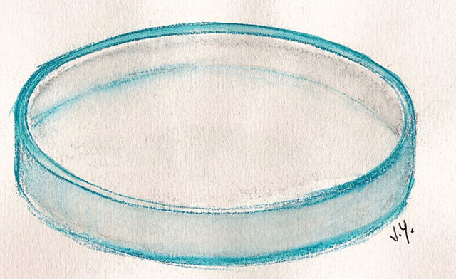 Invención del plato de Petri