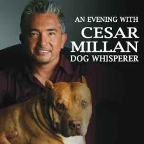 Cesar Milan ~Famous~
