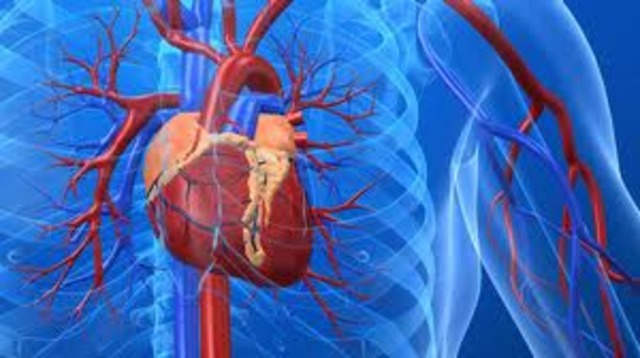 Papa's first heart surgery