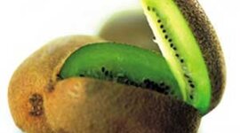 Timeline: Intresia History Timeline