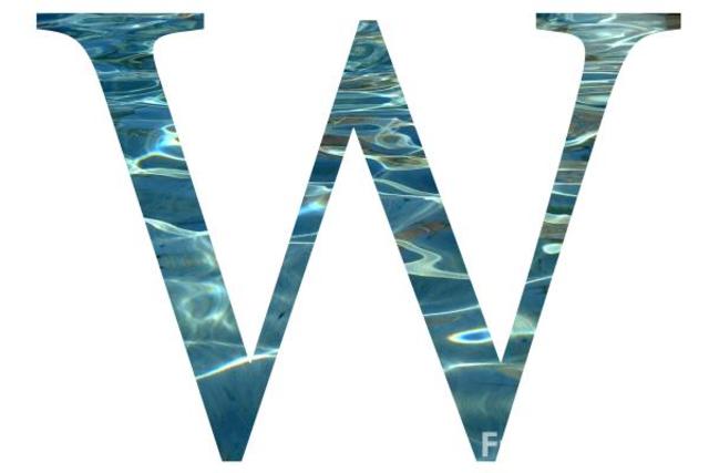 Foundation of North Caribea