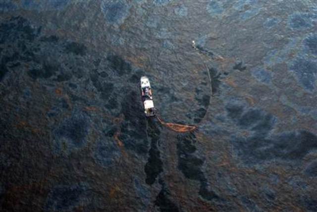 oil spill in the Gulf of Mexico