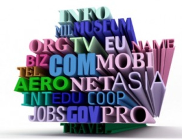 domain registrants boom