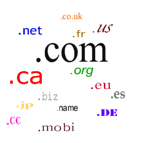 There are over 5 million domain names registered on the Internet.