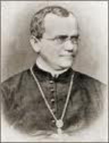 Gregory Mendel