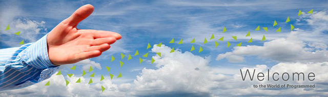 Programmed Maintenance