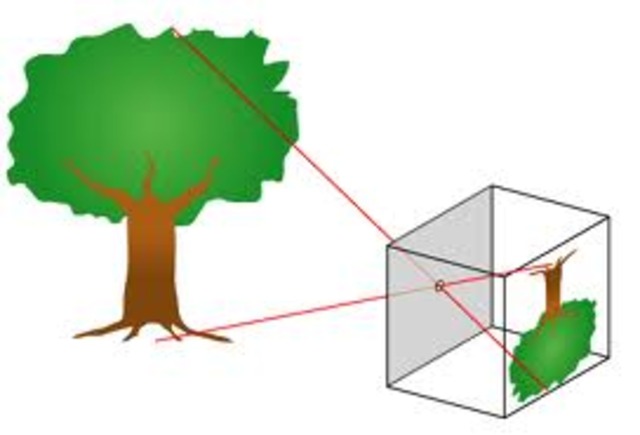 Pinhole Camera (Camera Obscura)