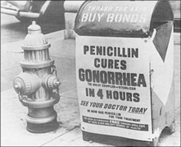 Discovery of Penicillin