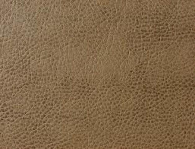 118 BC Leather Money used in China