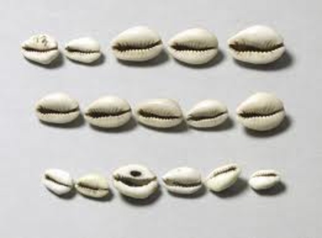 1200 BC Cowries used as money in China