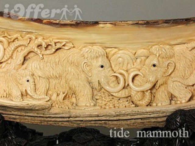 Neanderthal carves a picture